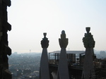 20741 Fruit and view to Torre Sant Sebastia.jpg